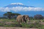 Safari in Style: Kenya & Tanzania