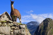 Peru: Mysteries of the Incas